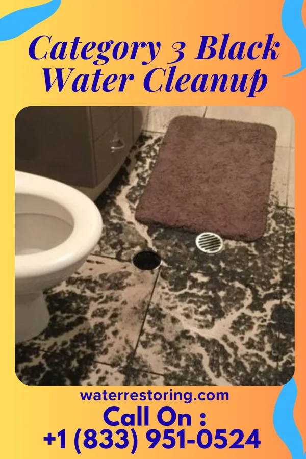 Category 3 Black Water Cleanup in Lodi, CA